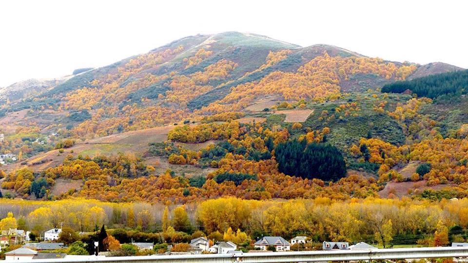 Apartamentos El Camino Villafranca Del Bierzo Luaran gambar